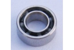 DH-BC Ceramic bearing