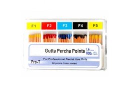 DT-AS60 Pro-T Gutta Percha Points