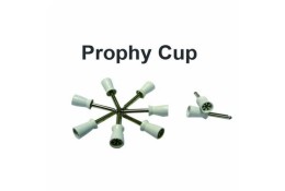 DT-AS23 Prophy Cups