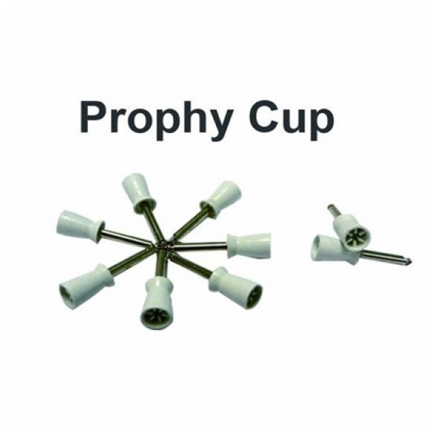 DT-AS23 Prophy Cups